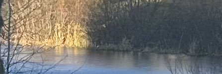 davidkerr71's profile banner image