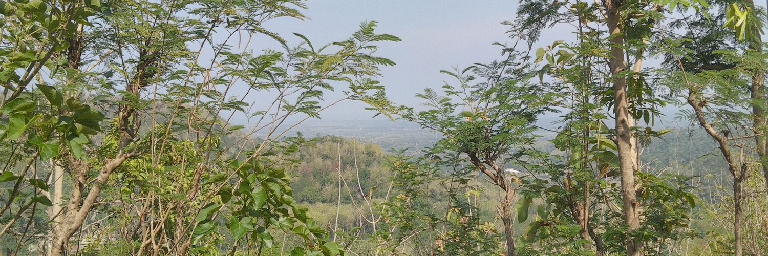 ngalor_'s profile banner image