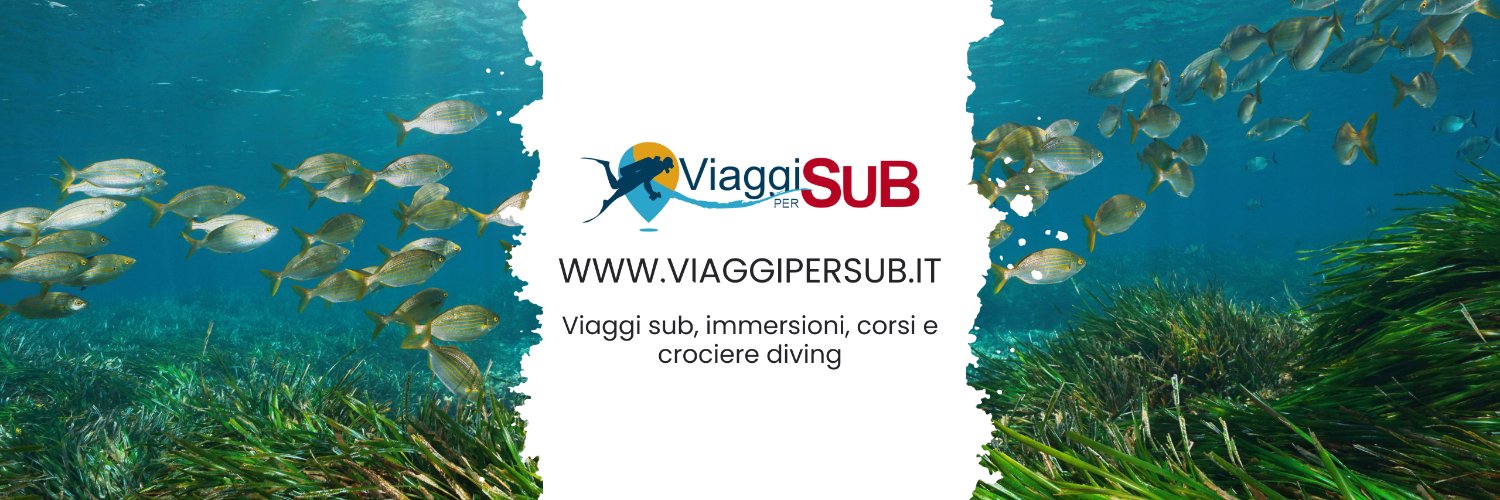 ViaggiSub's profile banner image