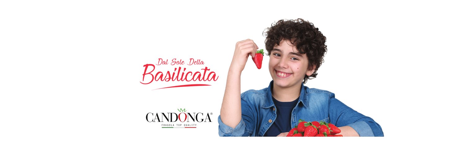 CandongaTop's profile banner image