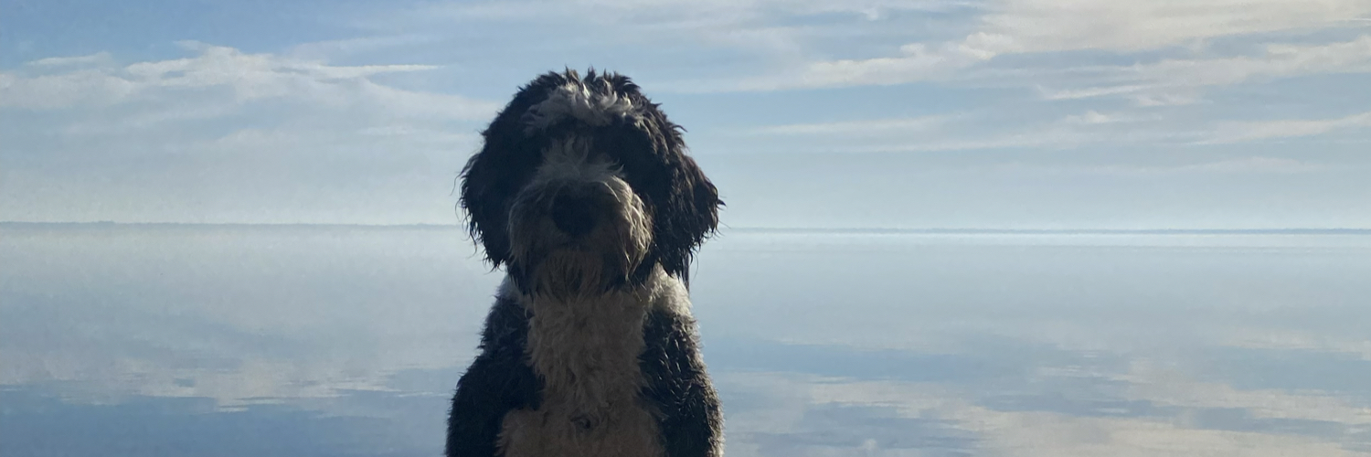 Colin_Perry's profile banner image