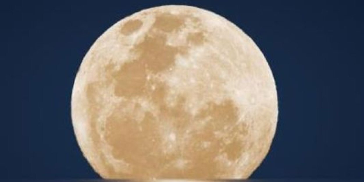 saas2323101's profile banner image