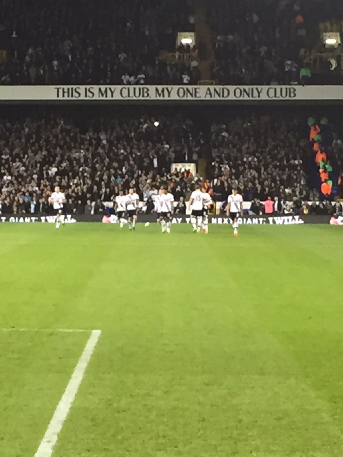 Steve Freeman banner