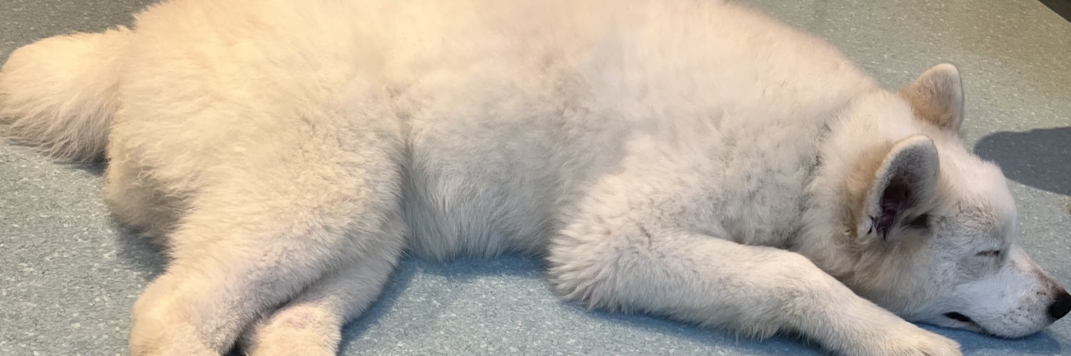 加々知 碧衣 banner