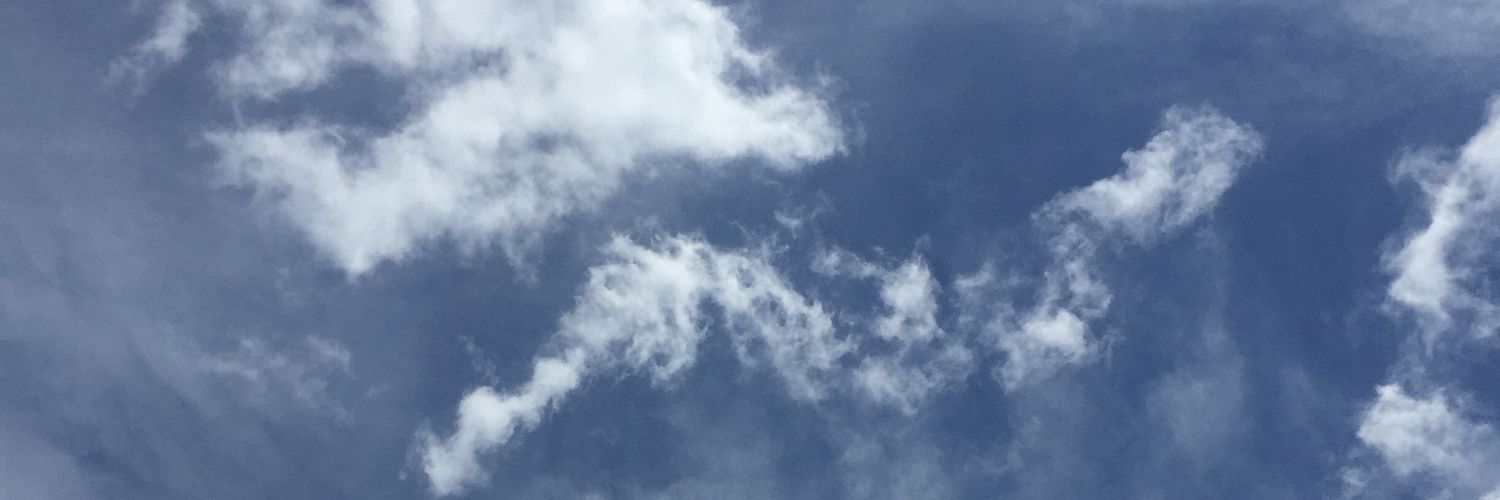 rasendrria's profile banner image