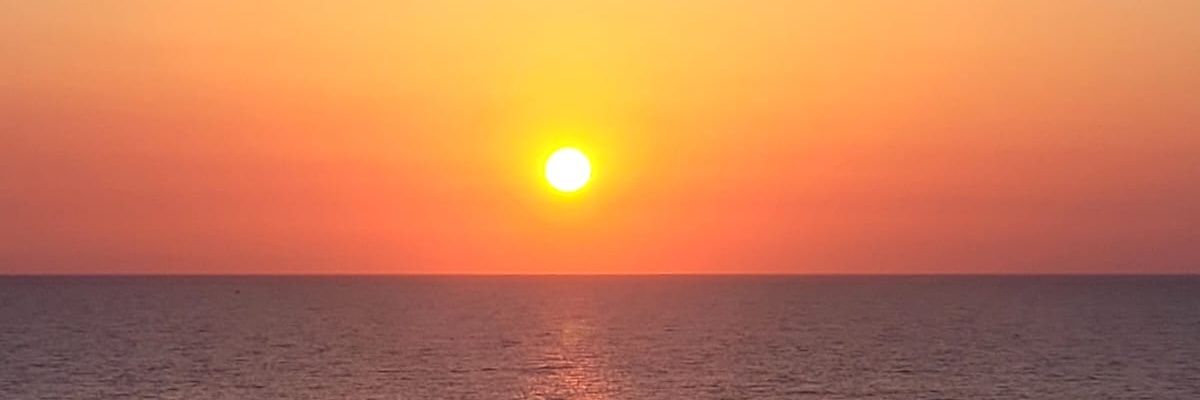 danielagatelli1's profile banner image