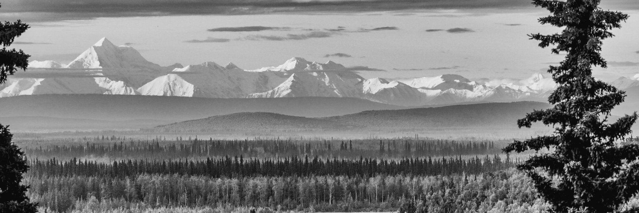 andrewsimcox's profile banner image