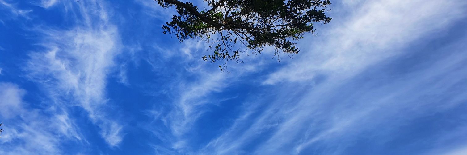 Maureen Moz banner