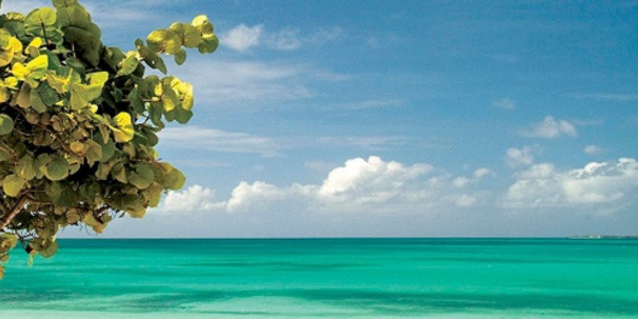 cabellofederico's profile banner image
