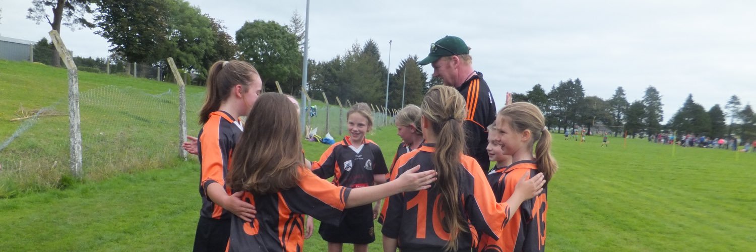 St. Colum's Camogie banner