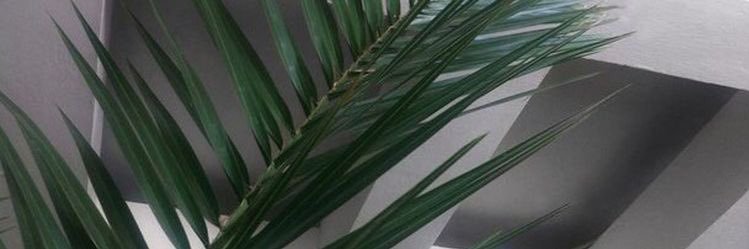 indcmiegoreng's profile banner image