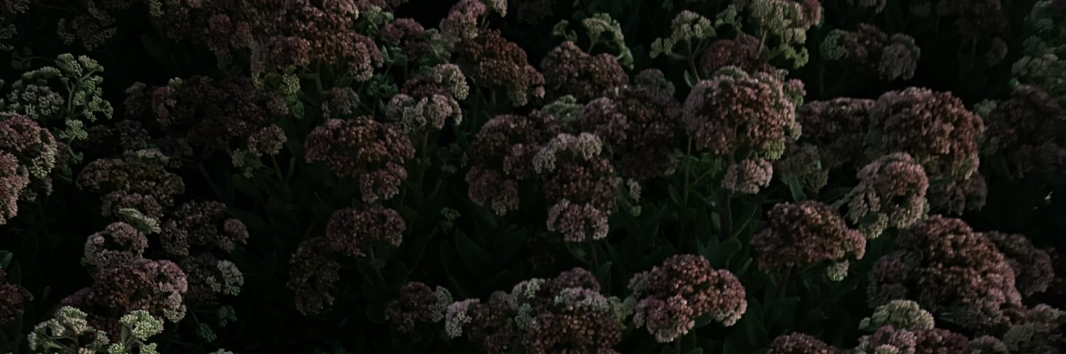 __iHoo1's profile banner image