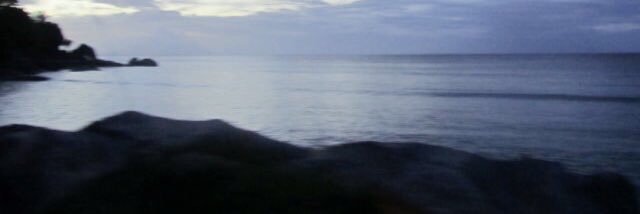 arctickristi's profile banner image