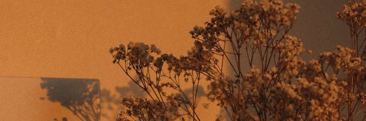 Tri_pleG's profile banner image