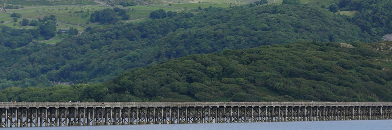 werner muller banner