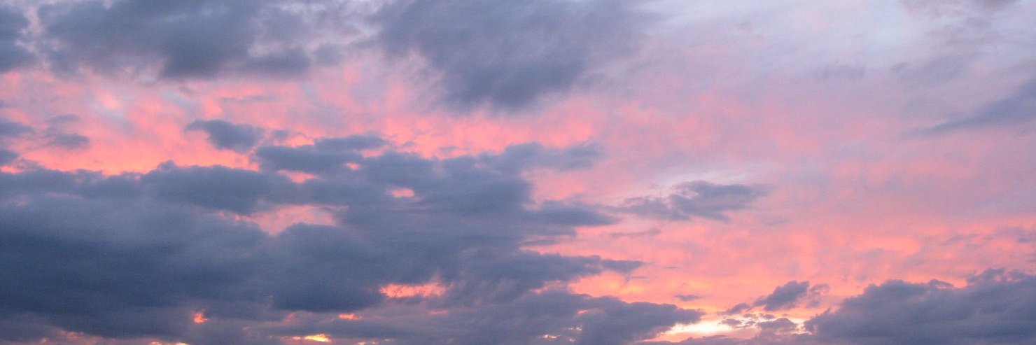 apple101171's profile banner image