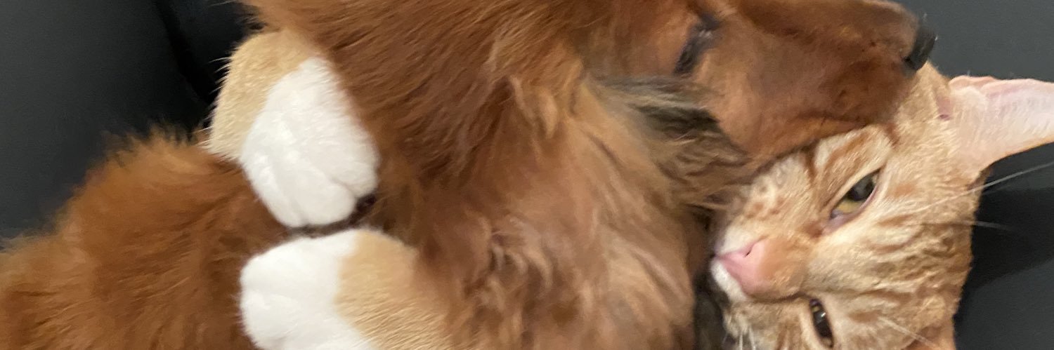 rneru_'s profile banner image