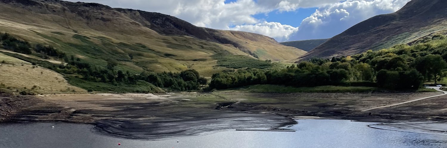 explore with ant banner