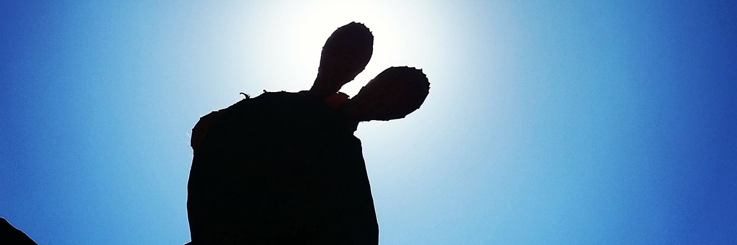 HMcKinlay1's profile banner image