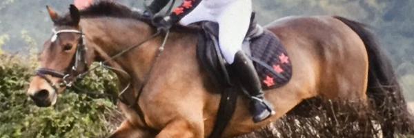 ItsVictoriaxx Profile Banner