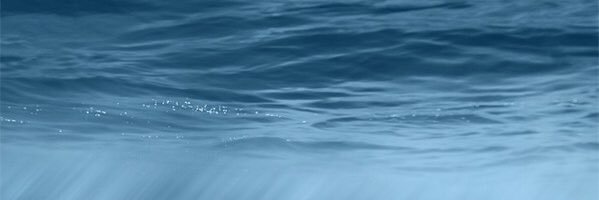 _clairechn's profile banner image