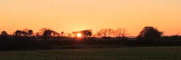 Pez_mark Profile Banner