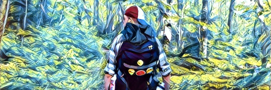 teabaseballtour's profile banner image