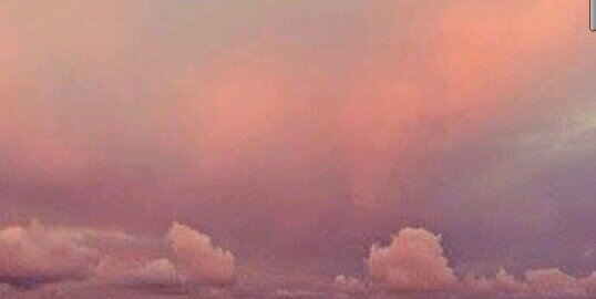 idabell1's profile banner image