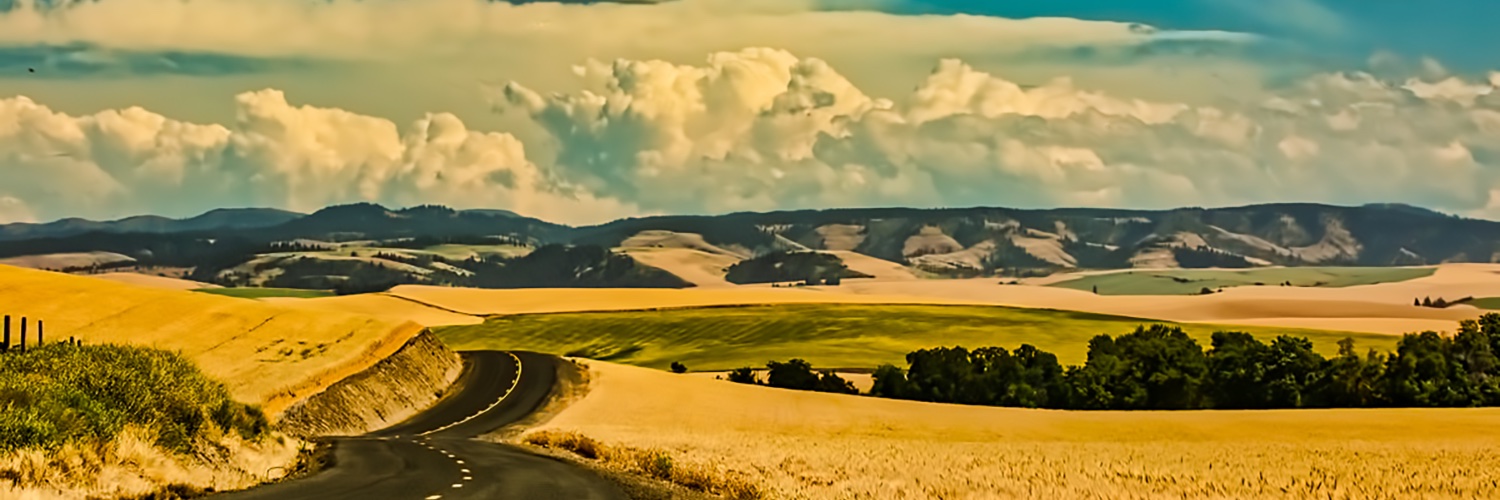 ktlynn51's profile banner image