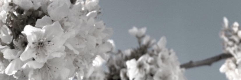 not2wice's profile banner image