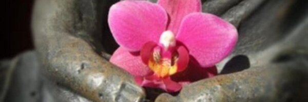 corinnerd Profile Banner