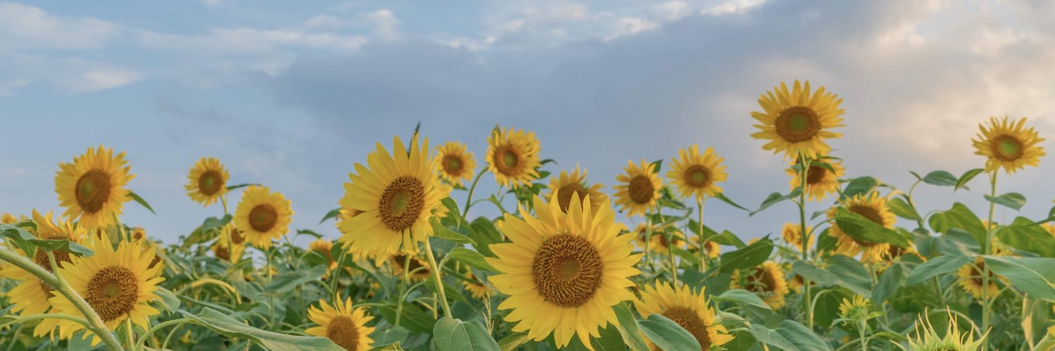 河原圭佑 / Keisuke KAWAHARA banner