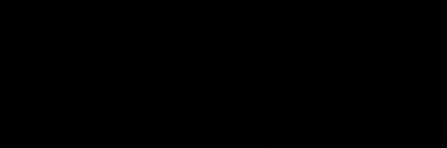 leilla33's profile banner image