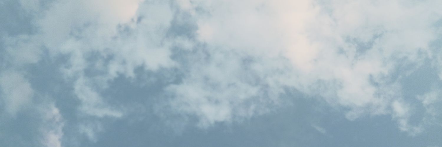 Adri 🌱 💜 BTS MADRID 2026 banner