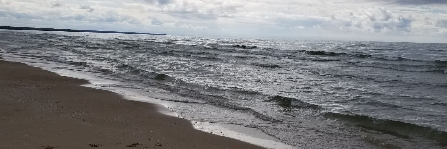sheldyck's profile banner image
