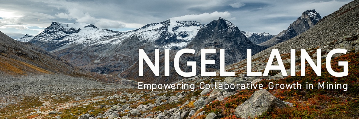 nigellaing's profile banner image