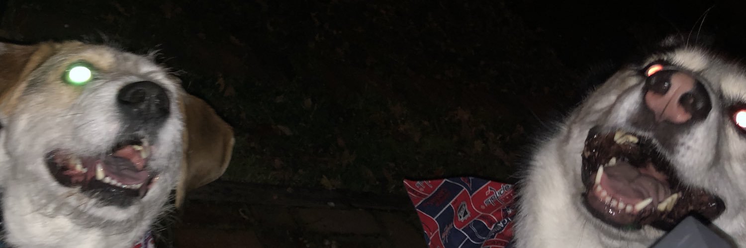 AbbyLynch's profile banner image
