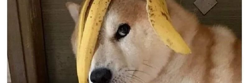 satriooo0's profile banner image