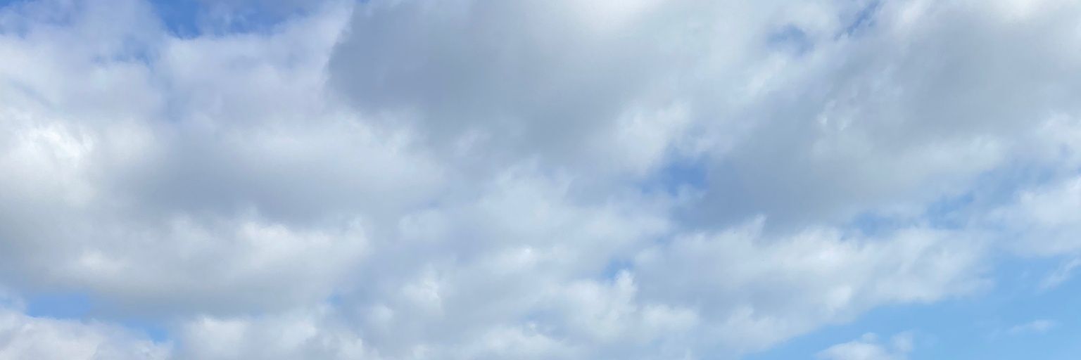 ALBA🌿 banner