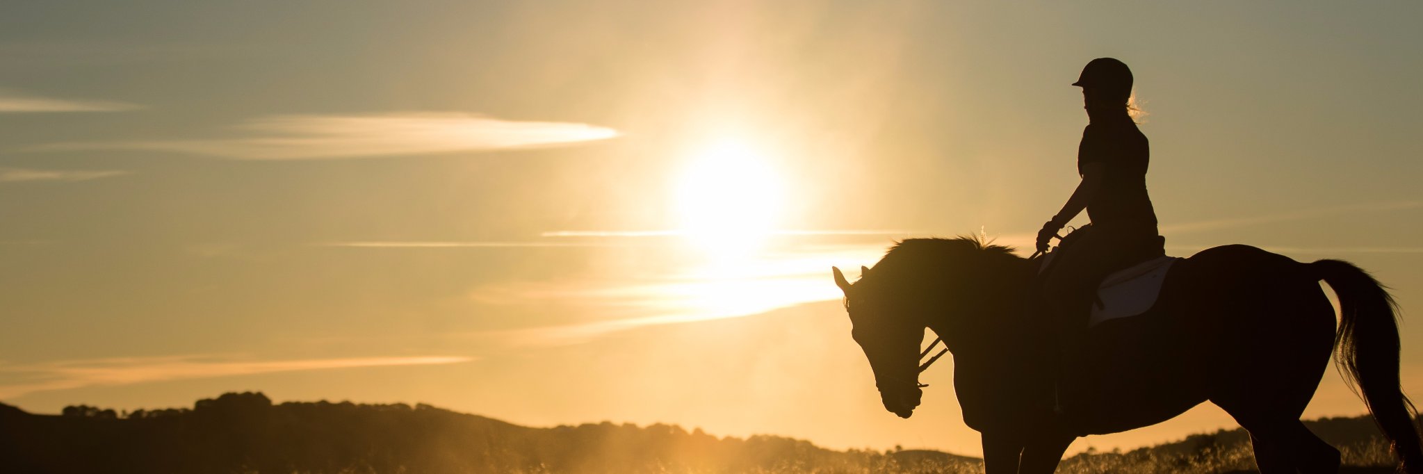 Redmond Equine banner