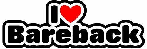 mexicanbarebacker banner