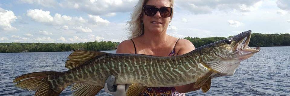 Heather Bochek banner