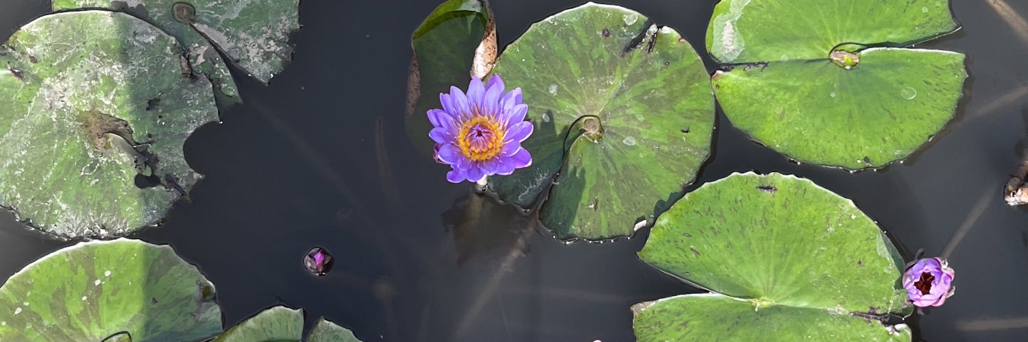 Indu K Murthy banner