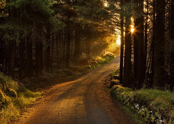 Renaldyarp's profile banner image