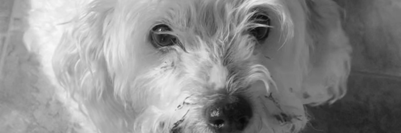 _JusttJenny's profile banner image