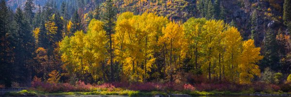 WAStateDOR Profile Banner