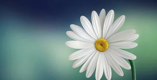 Abdulaziz Idris Abubakar banner