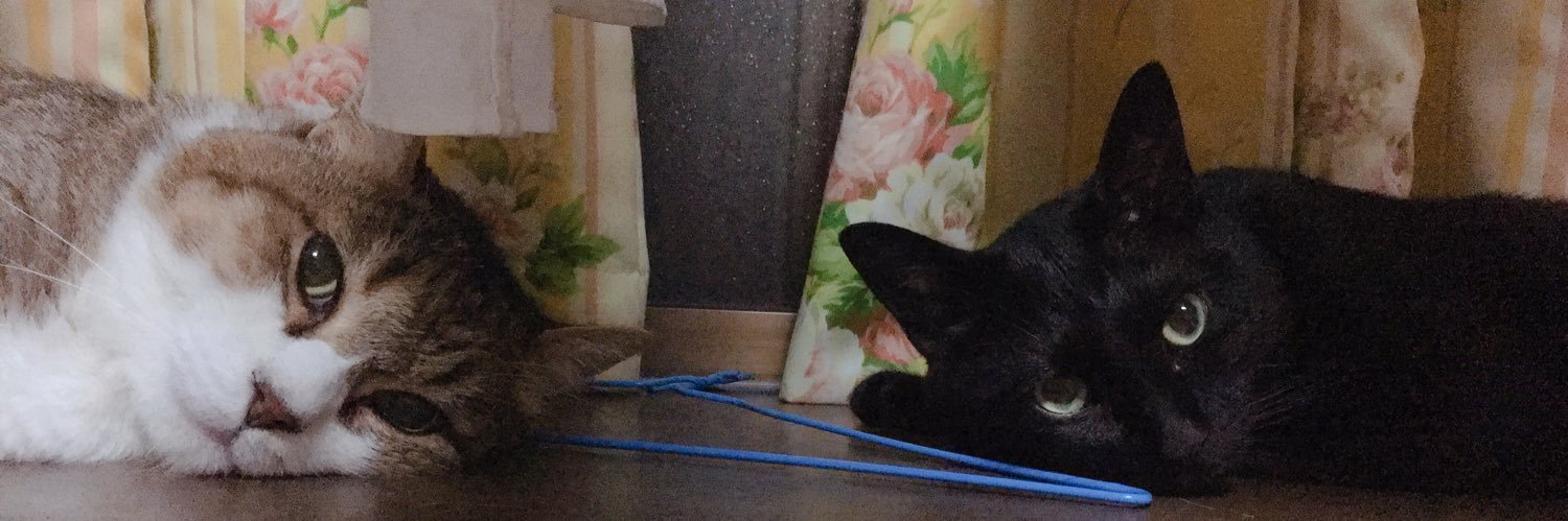 しじみ banner