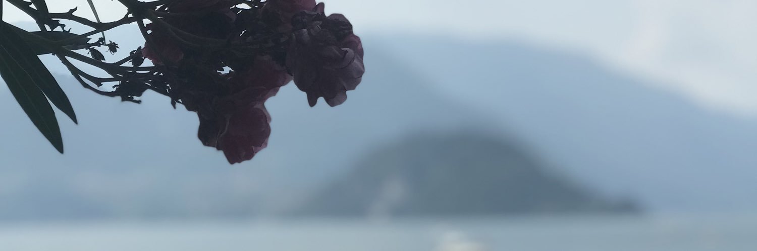 roz81orbit's profile banner image