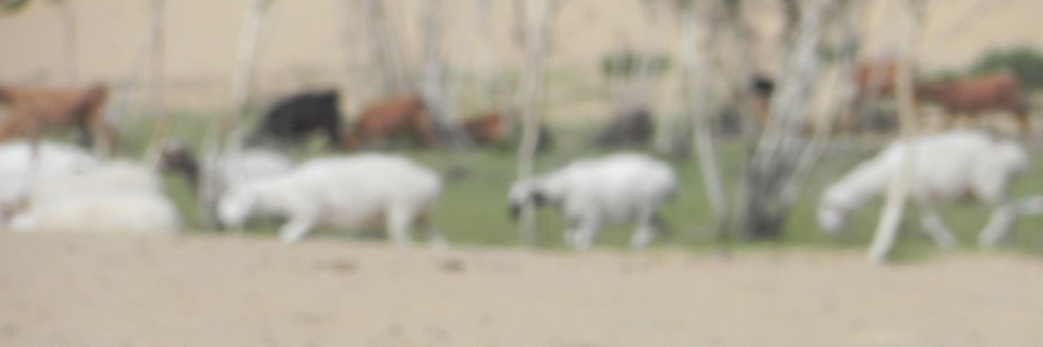 mglub73's profile banner image